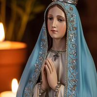 franciscaaraujo79