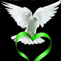 original sound - uservcciv0065h