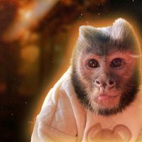 оригинальный звук