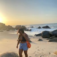 beatrice_coelho