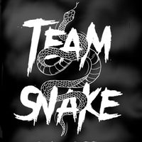 teamsnakemb