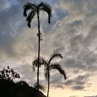 original sound - rosita_cajamarca_13