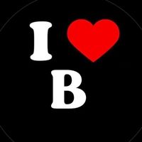 bri.v27
