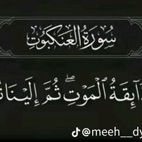 الصوت الأصلي