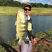 augusto_mf7
