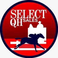 selectqhsales