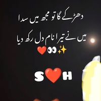 salmaniqbal1782