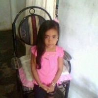 yelii_pv