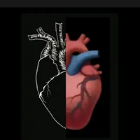 original sound - magoas_expostas