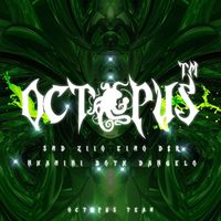 original sound - Octopus Team