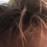 original sound - brannelidsvante