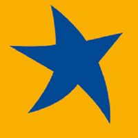 bluestarferries_official