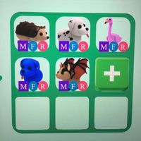 .adoptmetradingoffers