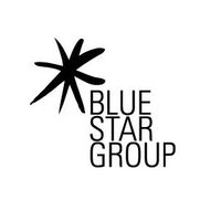 bluestargroup_global