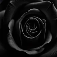 original sound - zzz.34e