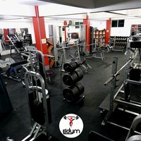 eldygym
