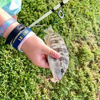 rj_christman_fishing