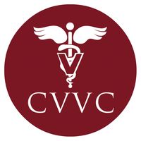 cypressviewvet