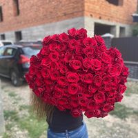 daisy_flowersy3