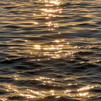 เสียงต้นฉบับ - หลงรัก ͜·♡