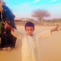 الصوت الأصلي