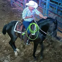 original sound - 01.luisrivera