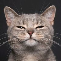 suara asli - b4by_Gonzales