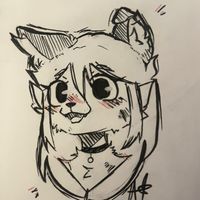 mocha_llz