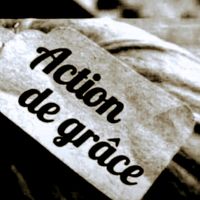 teamactiondegrace