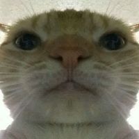 original sound - gapi king