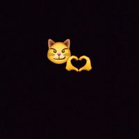 sasa_xxxxxx