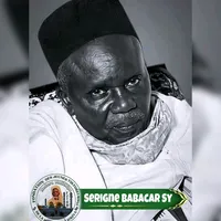 original sound - momoadvisersylla