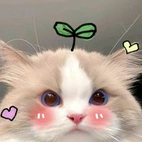 nurlaaaaa0