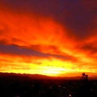 cielorojo291