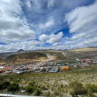nelson123hd