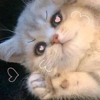 original sound - kkk06__