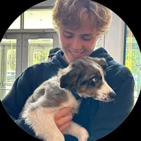 original sound - lslaidnee