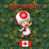 toad_grows420