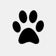 catsaroundus