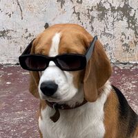 _rejtett.gondolatok_