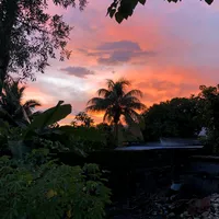 original sound - lyrics_frei