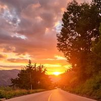 _patri017