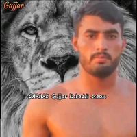 aleemgujjar250