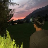 arnol_ap