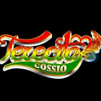 teresitacossio8