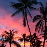 original sound - caanciionees_00