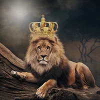 original sound - jackbanana