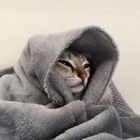 оригінальний звук