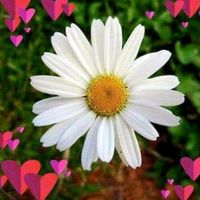 margaritakonstantinidou