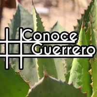 conoce_guerrero